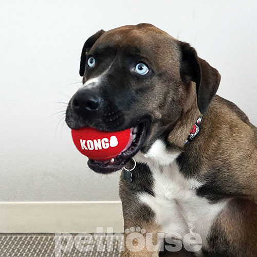 Kong Signature Sport Balls Спортивні м'ячі для собак Kong Signature Sport Balls Спортивні м'ячі для собак