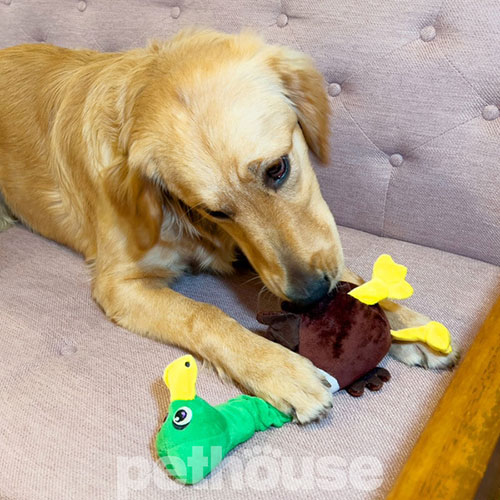 Kong Shakers Bobz Mallard Іграшка "Качур" з пискавкою для собак