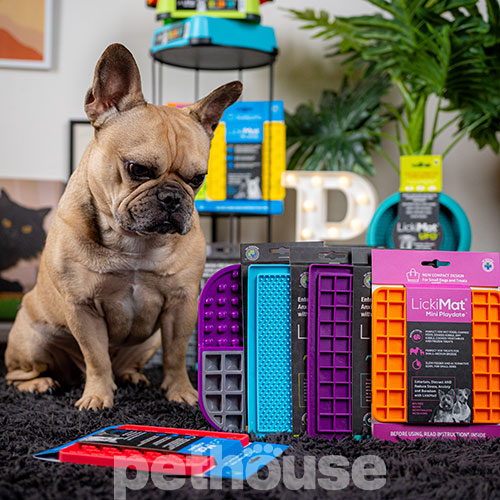 LickiMat Mini Playdate Лизальний килимок для собак