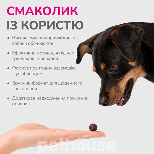 LK Baits Pet Nutrigo Treat Lamb Функціональні ласощі з ягням та овочевим соусом для собак середніх порід. LK Baits Pet Nutrigo Treat Lamb Функціональні ласощі з ягням та овочевим соусом для собак середніх порід.
