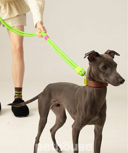 Maogoublue Marshmallow Standard Мотузковий повідець "Lemon Green" для собак