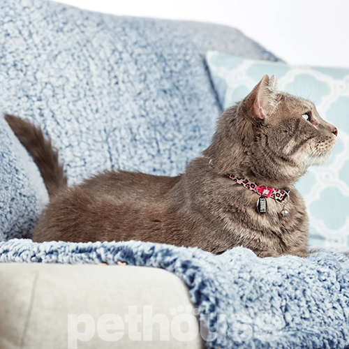 Max & Molly Smart ID Нашийник "Leopard Pink" для котів