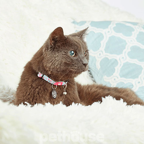 Max & Molly Smart ID Ошейник "Cherry Bloom" для кошек