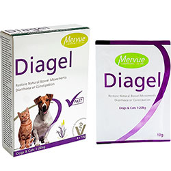 Mervue Diagel Cats & Dogs