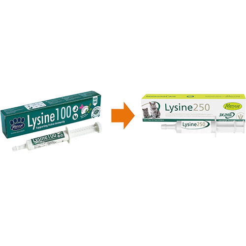 Mervue Lysine 250 Cats & Kittens Paste