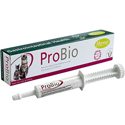Mervue ProBio Cats & Kittens Paste