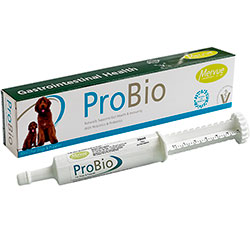 Mervue ProBio Dogs & Puppies Paste