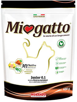 Miogatto Junior