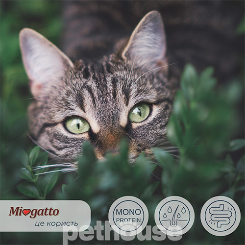 Miogatto Sensitive Monoprotein Salmon