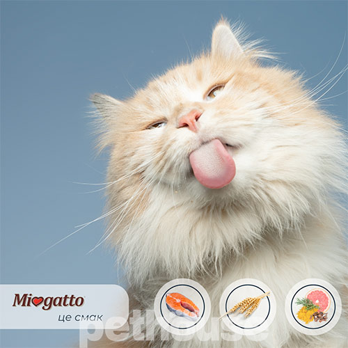 Miogatto Sensitive Monoprotein Salmon