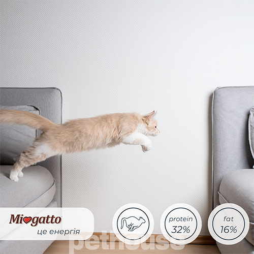 Miogatto Sensitive Monoprotein Salmon
