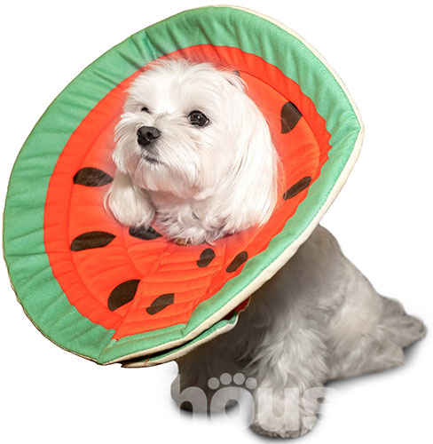 Misoko Защитный воротник Арбуз для кошек и собак