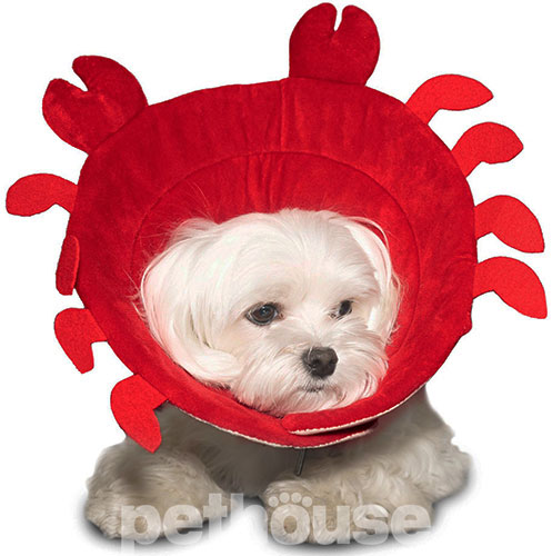 Misoko Защитный воротник Краб для кошек и собак