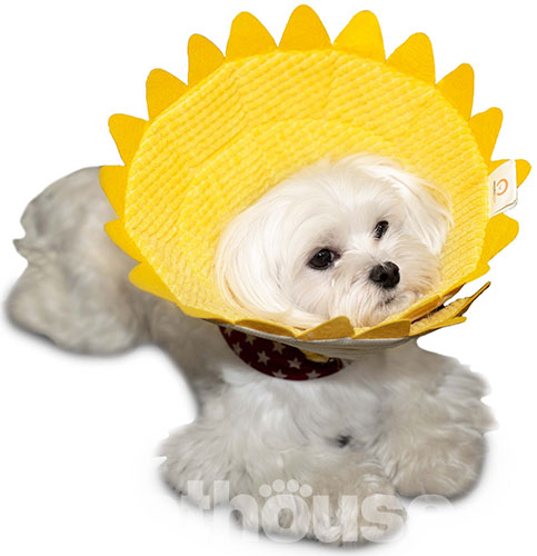 Misoko&Co Захисний комір Соняшник для котів і собак, фото 2