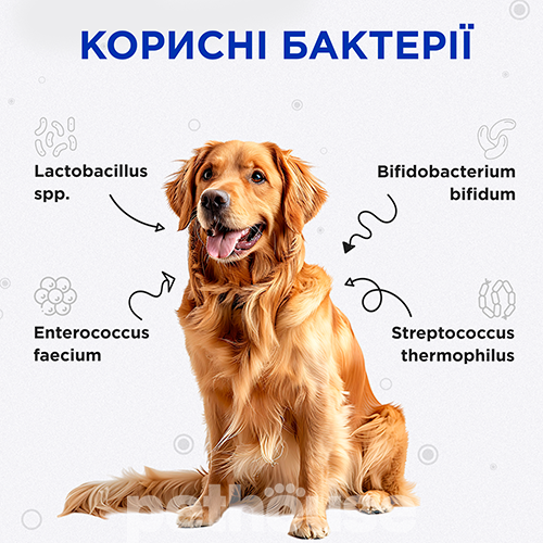 Modes Kombiflor Probiotic Порошок для поддержания баланса микрофлоры кишечника собак и кошек