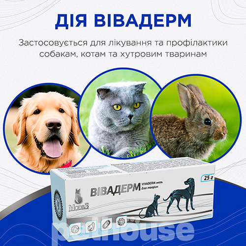 Modes Вивадерм Мазь