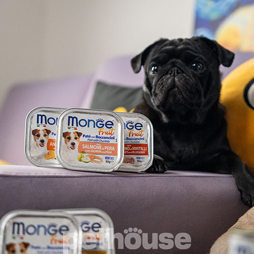 Monge Fruit Dog Adult with Turkey and Blueberry