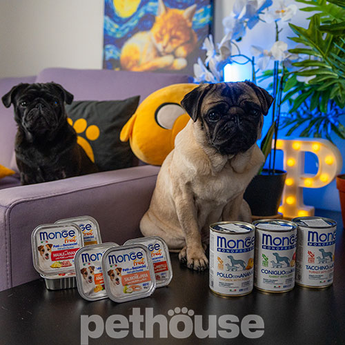 Monge Fruit Dog Adult with Turkey and Blueberry
