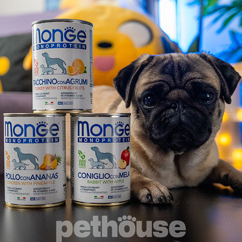 Monge Monoprotein Fruit Dog Adult Rabbit with Apple Cans