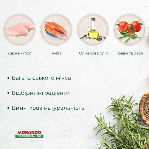 Morando Tradizioni Kitten Rich in Chicken and with Salmon