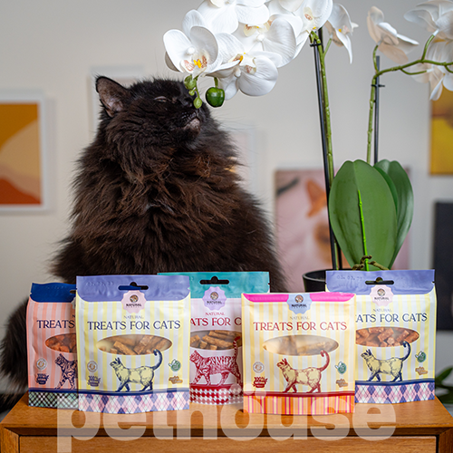 Natural Снеки з яловичиною, куркою і льоном для котів