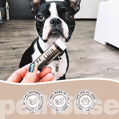 Natural Dog Company Skin Soother Бальзам для шкіри собак і котів, стік