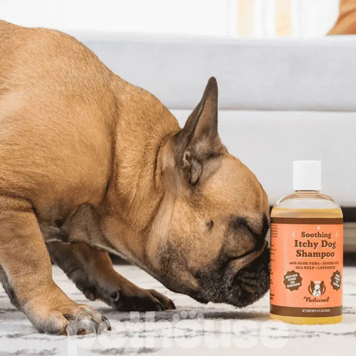 Natural Dog Company Itchy Dog Шампунь для собак проти свербіння