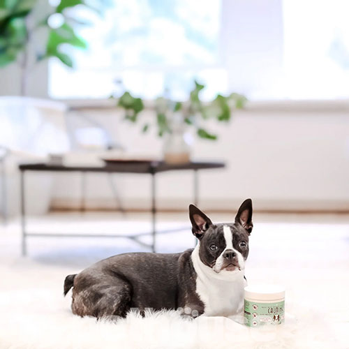 Natural Dog Company Calming Supplement Успокаивающие витамины для собак