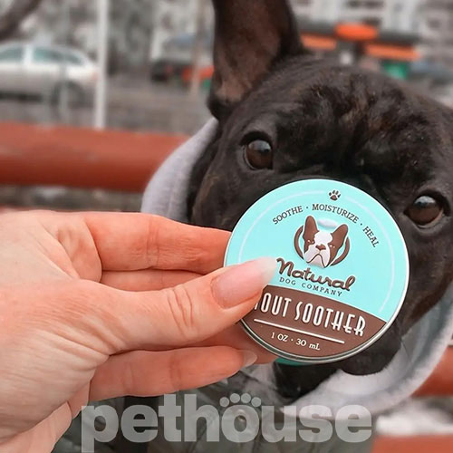 Natural Dog Company Snout Soother Бальзам для носа собак і котів