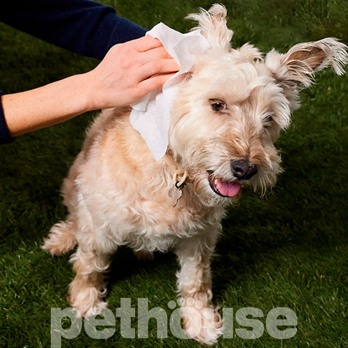 Natural Dog Company Grooming Wipes Биоразлагаемые салфетки для собак