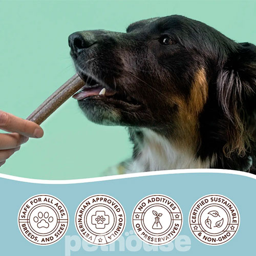 Natural Dog Company Dental Treats Лакомство для очищения зубов собак