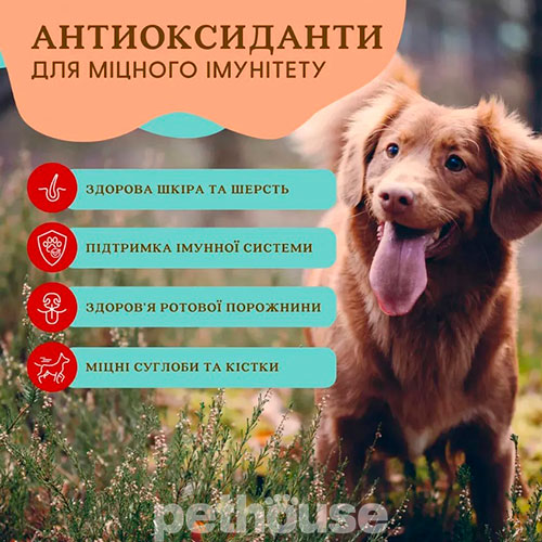Natural Dog Company Antioxidant Berry Granules Суперфуд для собак