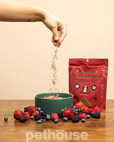 Natural Dog Company Antioxidant Berry Granules Суперфуд для собак