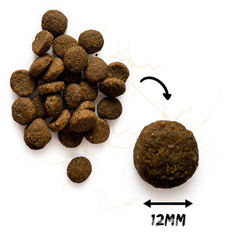 Natura Wild Ontario Wildland Adult Dog Lamb & French Pork