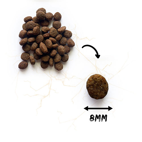 Natura Wild Small Ridge Kitten Rich in Chicken meat