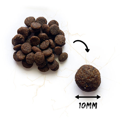 Natura Wild Niagara Falls Adult Sensitive Cat Rich in Pheasant meat