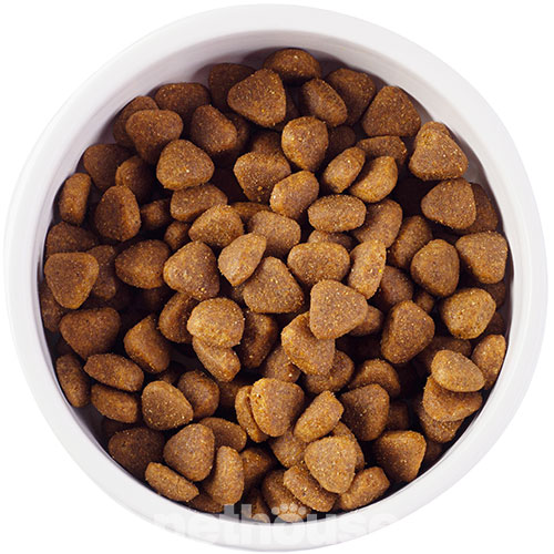 Nature's Protection Junior All Breeds (Medium)