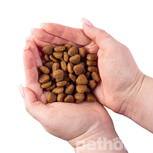 Nature's Protection Dog Senior