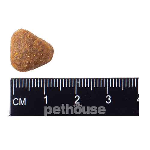 Nature's Protection Dog Senior