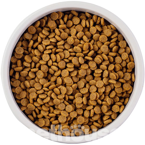 Nature's Protection Lifestyle Grain Free Salmon with Krill Adult Small and Mini Breeds