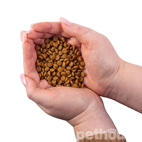 Nature's Protection Lifestyle Grain Free Salmon with Krill Adult Small and Mini Breeds