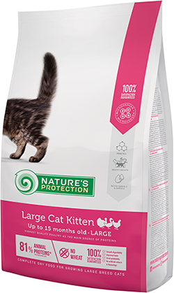 Nature's Protection Kitten Large Breed