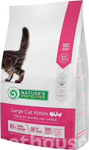 Nature's Protection Kitten Large Breed