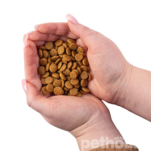 Nature's Protection Kitten Large Breed