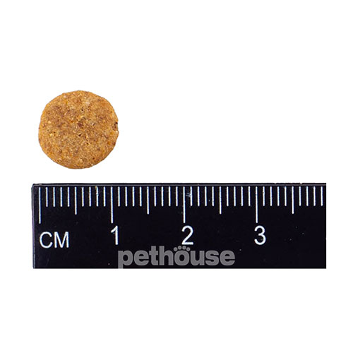 Nature's Protection Kitten Large Breed