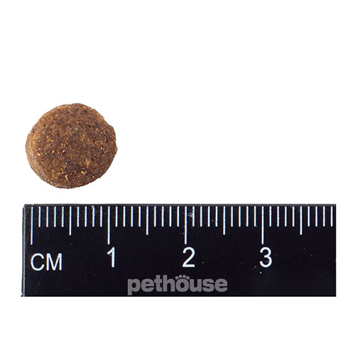 Nature's Protection Cat Large Breed