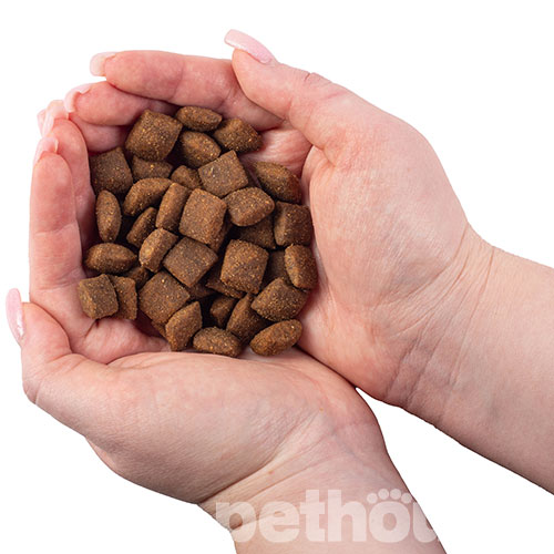 Nature's Protection Superior Care White Dogs Grain Free White Fish All Sizes and Life Stages