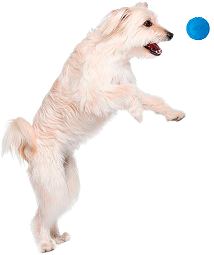 Nerf Tire Squeak Ball Мяч с пищалкой для собак, фото 3