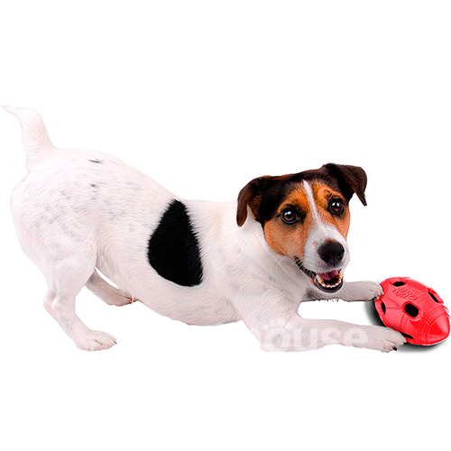 Nerf TPR Crunch Bash Football Шелестящий мяч для собак, фото 4