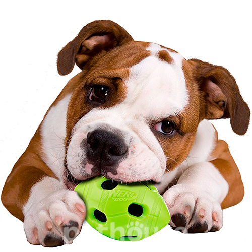 Nerf TPR Crunch Bash Football Шелестящий мяч для собак, фото 6